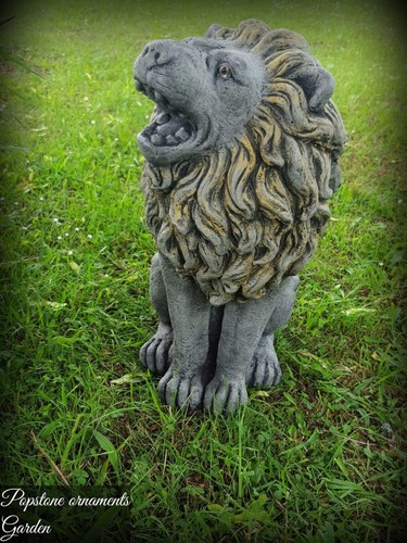 Large sitting lion - sitting,
