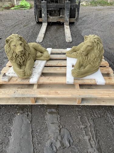 Pair lions - of,