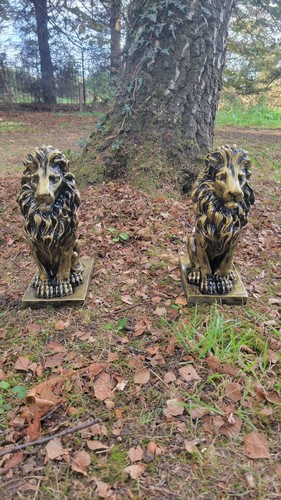 Pair lion statues black - pair,