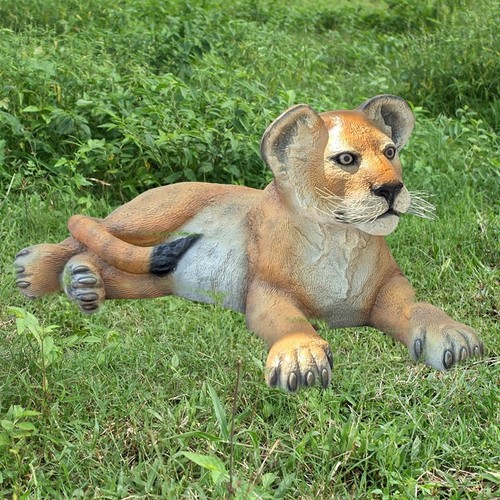 81cm lion cub lying down - lion, big