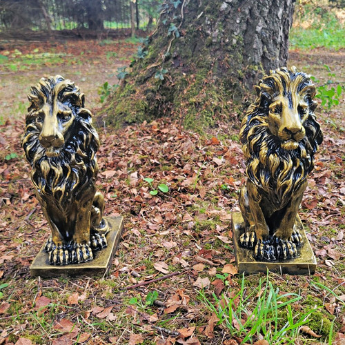 Pair lion garden - of,