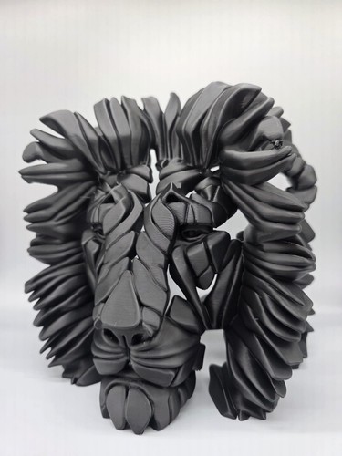 Lion 25cm edge - 25cm, 3d