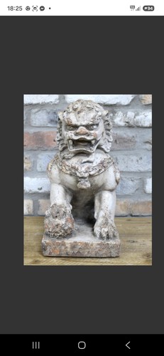 Lion dog - lion,