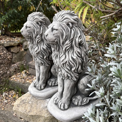 Pair sitting lions - of,