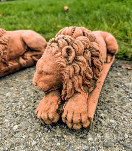 Pair terracotta canova lions - pair,