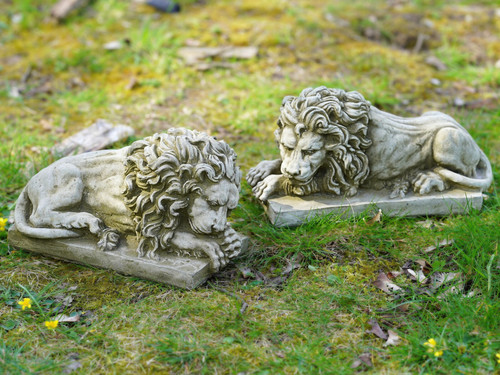 Pair mercia lions stone - pair,