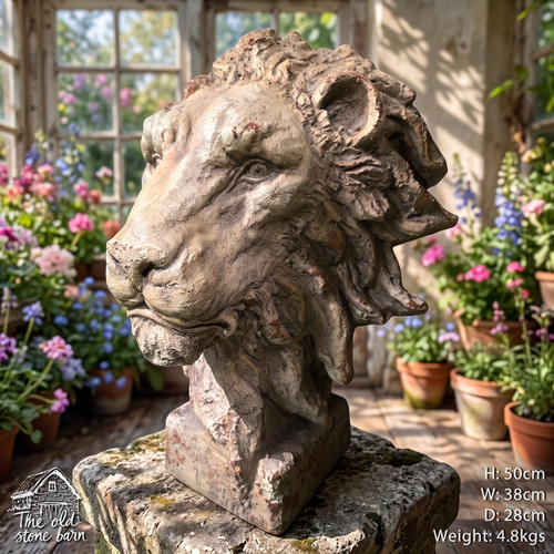 Large lion head - lion,