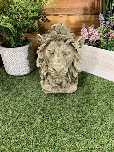 Stone garden detailed lion - garden,