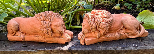 Pair stone canova lions - pair, —