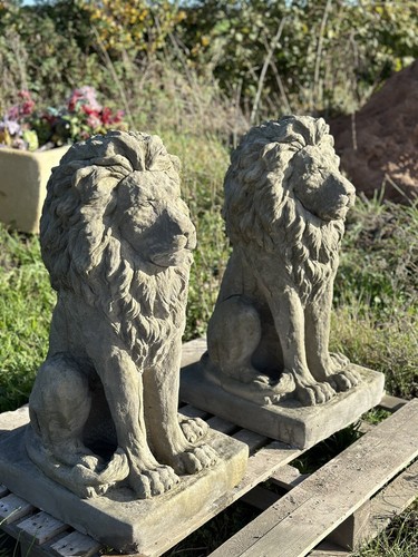 Pair large proud - proud, heavy